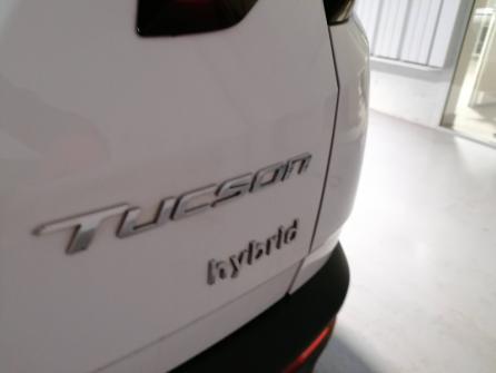 HYUNDAI Tucson 1.6 T-GDi 230ch Hybrid Executive BVA6 d'occasion en vente en ligne
